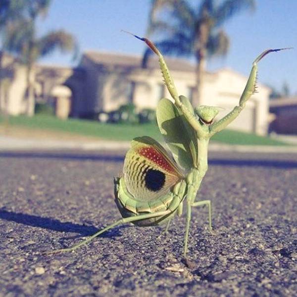 Daily Picdump [WEEKEND EDITION]