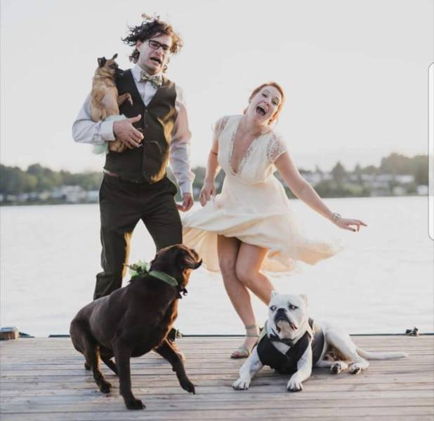 Daily Picdump [WEEKEND EDITION]