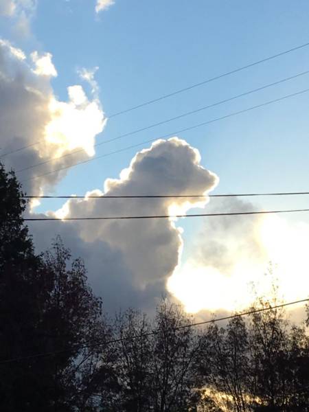Daily Picdump [WEEKEND EDITION]