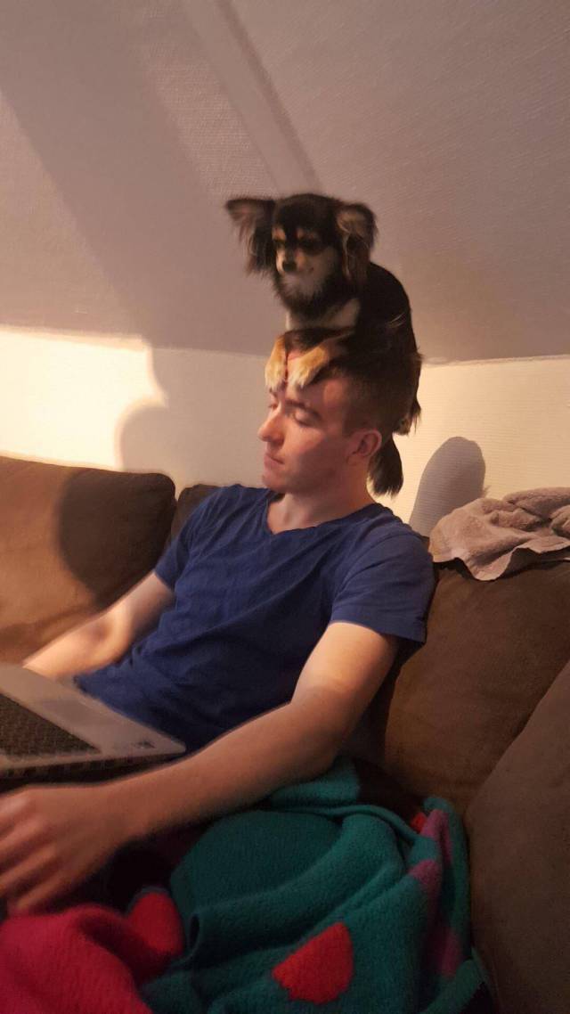 Daily Picdump [WEEKEND EDITION]