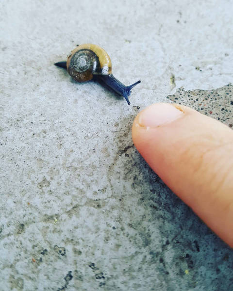 daily picdump 80 pics 38.html - 80 HD Photos | Premium Gallery 2017