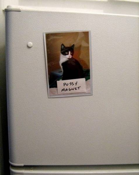 daily picdump 80 pics 38.html - 80 HD Photos | Premium Gallery 2017