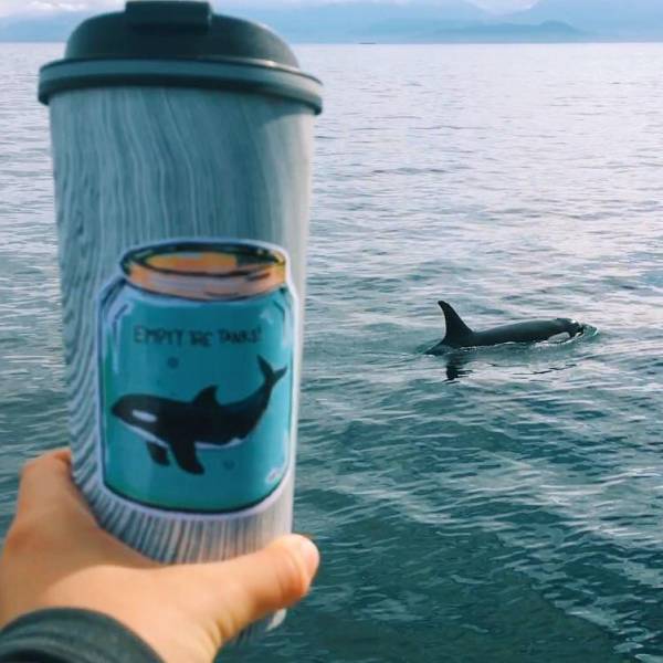 daily picdump 80 pics 38.html - 80 HD Photos | Premium Gallery 2017