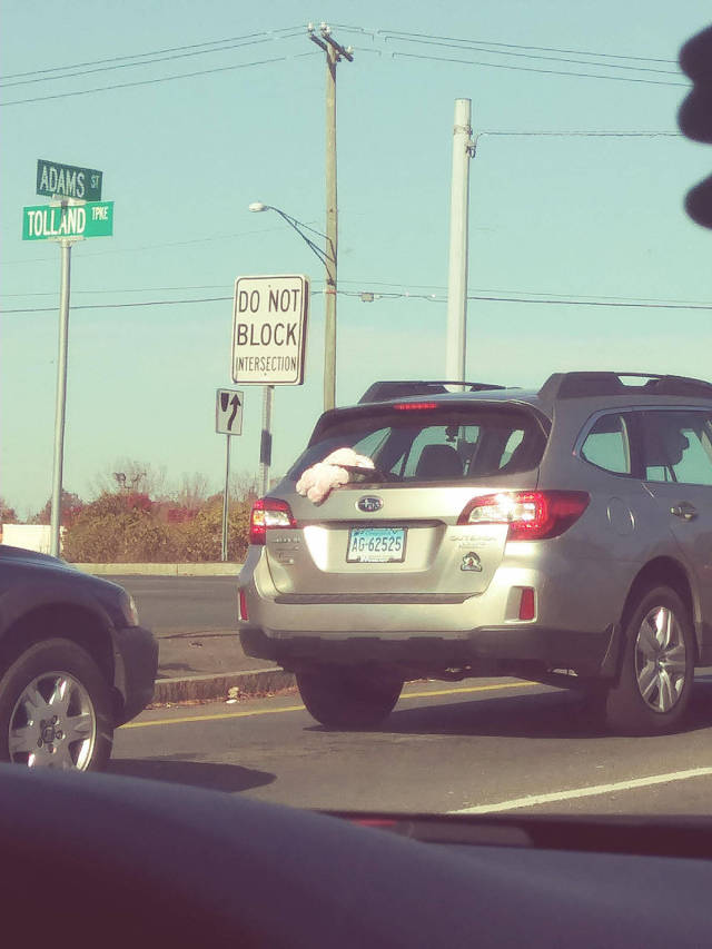 daily picdump 80 pics 38.html - 80 HD Photos | Premium Gallery 2017