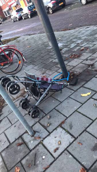 daily picdump 81 pics 36.html - 81 HD Photos | Premium Gallery 2017