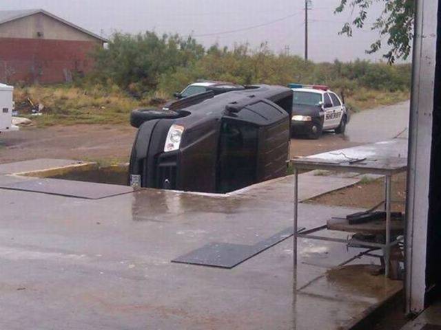 daily picdump 81 pics 36.html - 81 HD Photos | Premium Gallery 2017