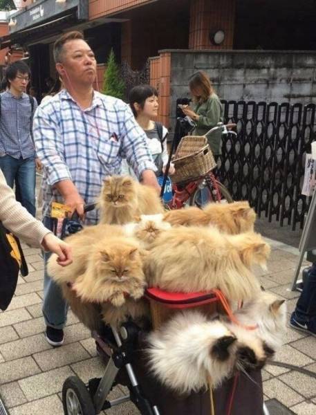 morning picdump 51 pics 18.html - 51 HD Photos | Premium Gallery 2017