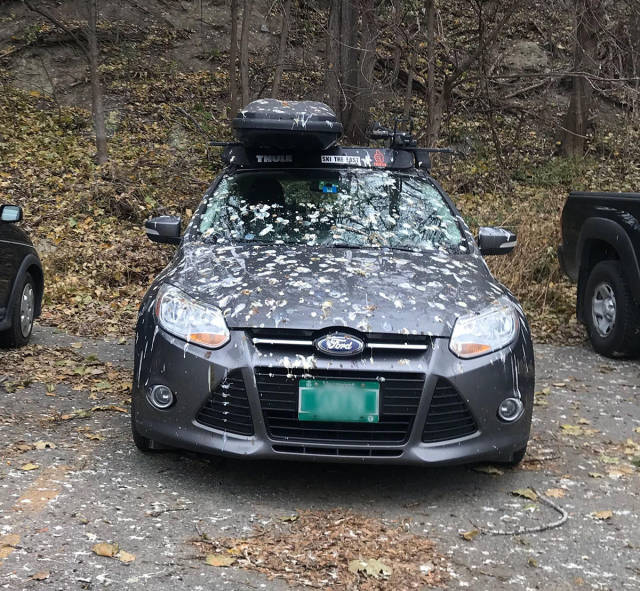 morning picdump 51 pics 18.html - 51 HD Photos | Premium Gallery 2017