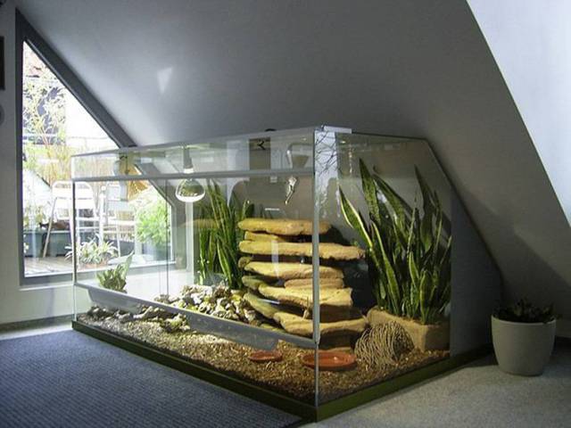 daily picdump 80 pics 7.html - 80 HD Photos | Premium Gallery 2017