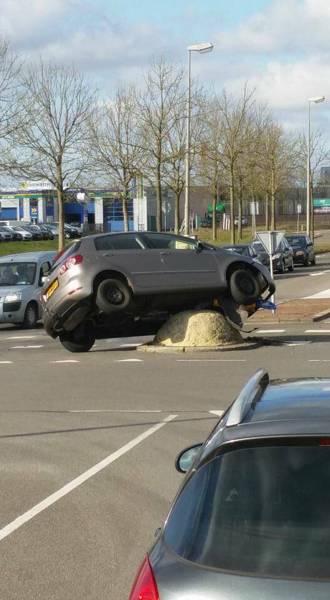 daily picdump 80 pics 7.html - 80 HD Photos | Premium Gallery 2017