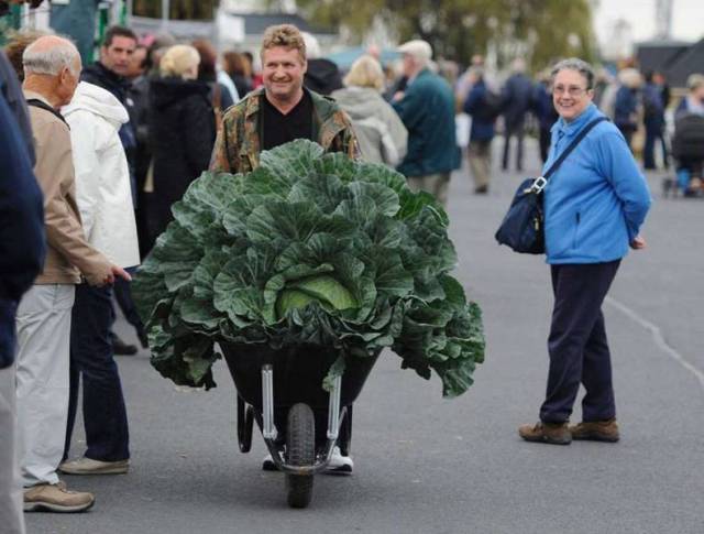 daily picdump 80 pics 7.html - 80 HD Photos | Premium Gallery 2017