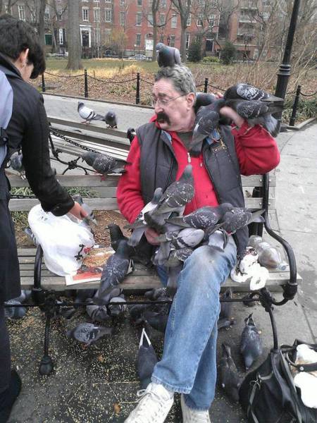 daily picdump 80 pics 7.html - 80 HD Photos | Premium Gallery 2017