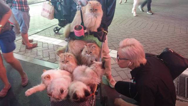 daily picdump 80 pics 7.html - 80 HD Photos | Premium Gallery 2017