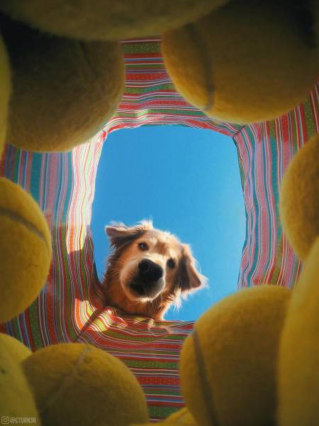 morning picdump 50 pics 18.html - 50 HD Photos | Premium Gallery 2017