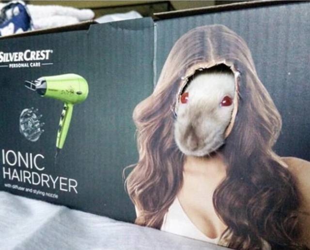 morning picdump 50 pics 18.html - 50 HD Photos | Premium Gallery 2017