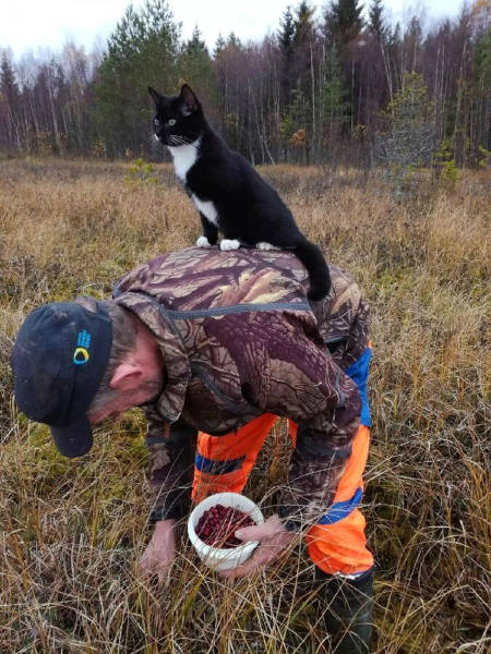 morning picdump 50 pics 18.html - 50 HD Photos | Premium Gallery 2017