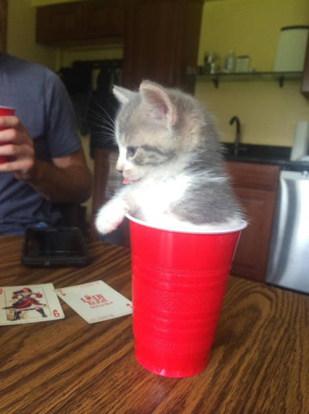 daily picdump 80 pics 11.html - 80 HD Photos | Premium Gallery 2017