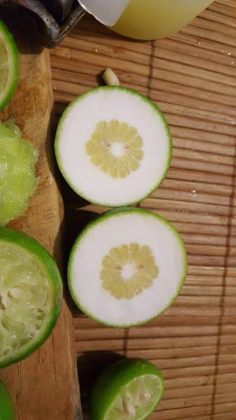 daily picdump 80 pics 11.html - 80 HD Photos | Premium Gallery 2017