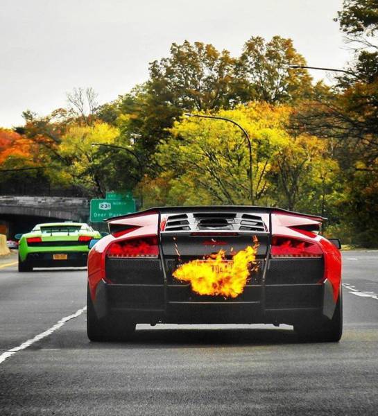 daily picdump 80 pics 11.html - 80 HD Photos | Premium Gallery 2017