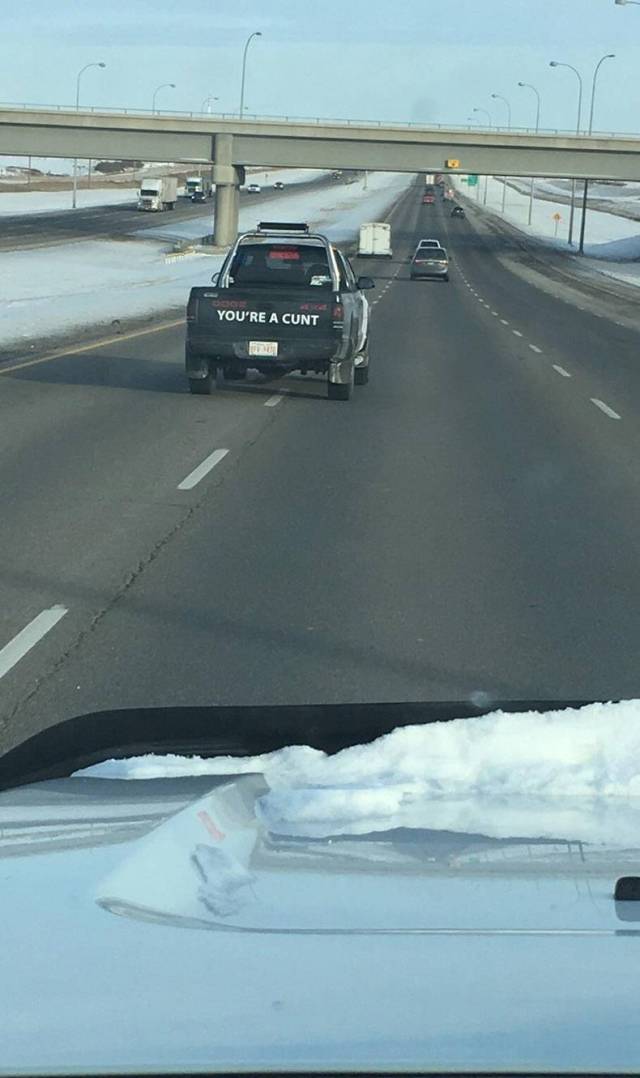 daily picdump 80 pics 11.html - 80 HD Photos | Premium Gallery 2017