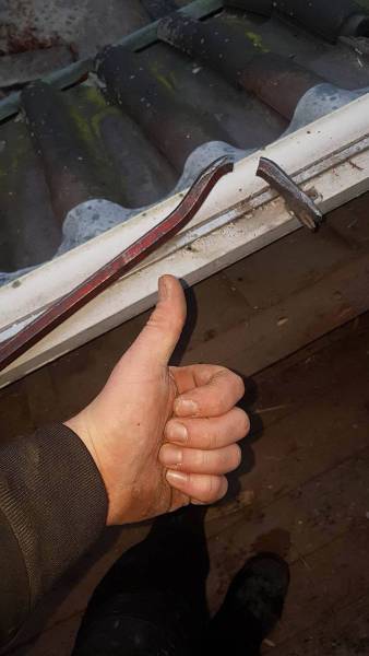 morning picdump 50 pics 3.html - 50 HD Photos | Premium Gallery 2017