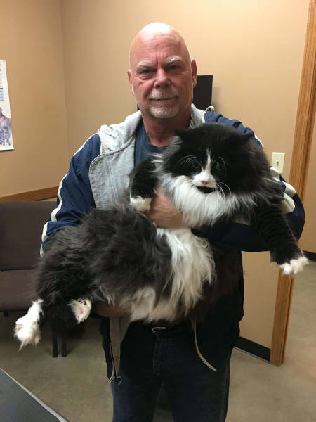 morning picdump 50 pics 3.html - 50 HD Photos | Premium Gallery 2017