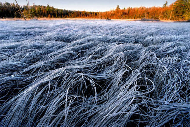 morning picdump 50 pics 3.html - 50 HD Photos | Premium Gallery 2017