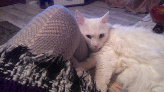 Comfort Is What We All Need