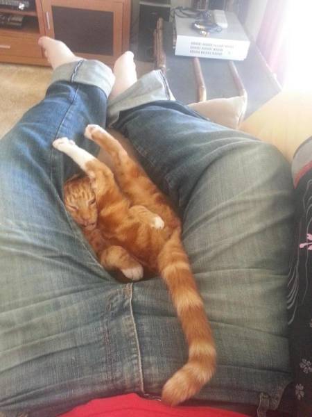 Comfort Is What We All Need