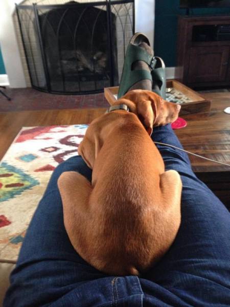 Comfort Is What We All Need