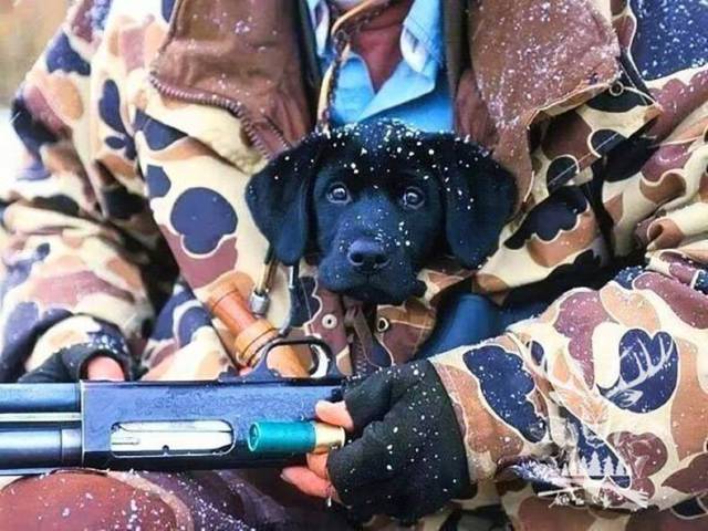 daily picdump 83 pics 3.html - 83 HD Photos | Premium Gallery 2017