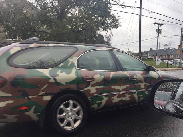 daily picdump 83 pics 3.html - 83 HD Photos | Premium Gallery 2017