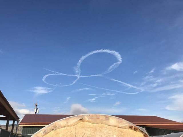 daily picdump 83 pics 3.html - 83 HD Photos | Premium Gallery 2017