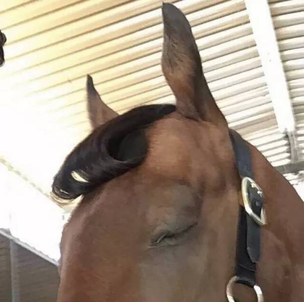 daily picdump 83 pics 3.html - 83 HD Photos | Premium Gallery 2017