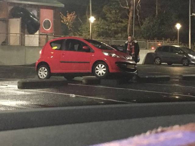 daily picdump 83 pics 3.html - 83 HD Photos | Premium Gallery 2017