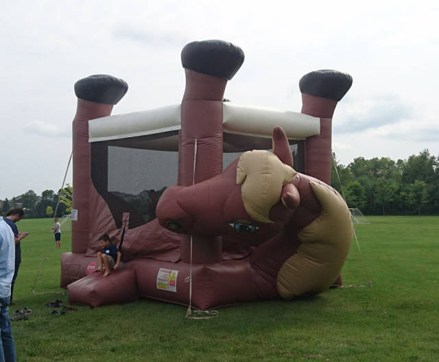 daily picdump 83 pics 3.html - 83 HD Photos | Premium Gallery 2017