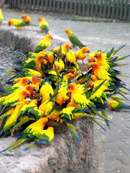 daily picdump 83 pics 3.html - 83 HD Photos | Premium Gallery 2017