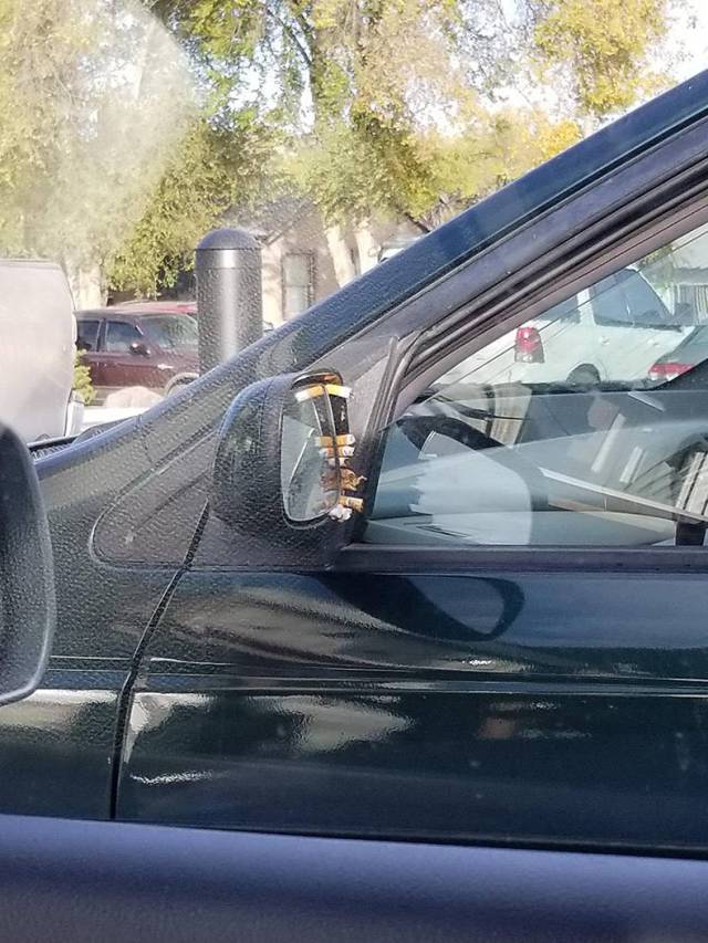 daily picdump 83 pics 3.html - 83 HD Photos | Premium Gallery 2017