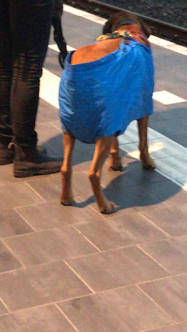 daily picdump 83 pics 3.html - 83 HD Photos | Premium Gallery 2017