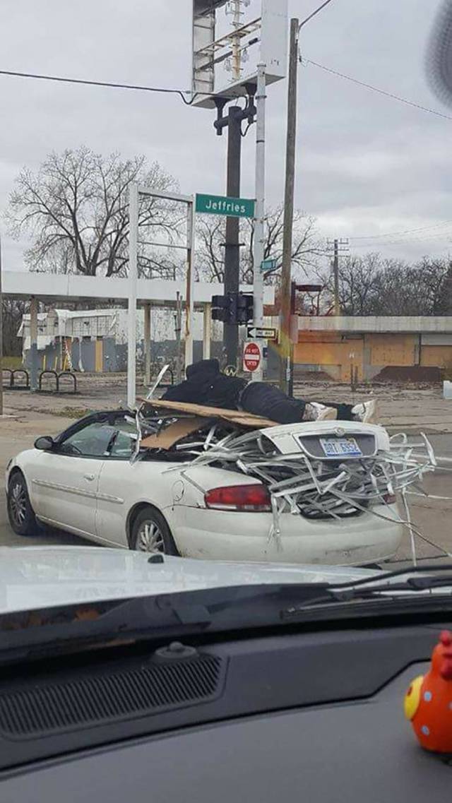 daily picdump 83 pics 3.html - 83 HD Photos | Premium Gallery 2017