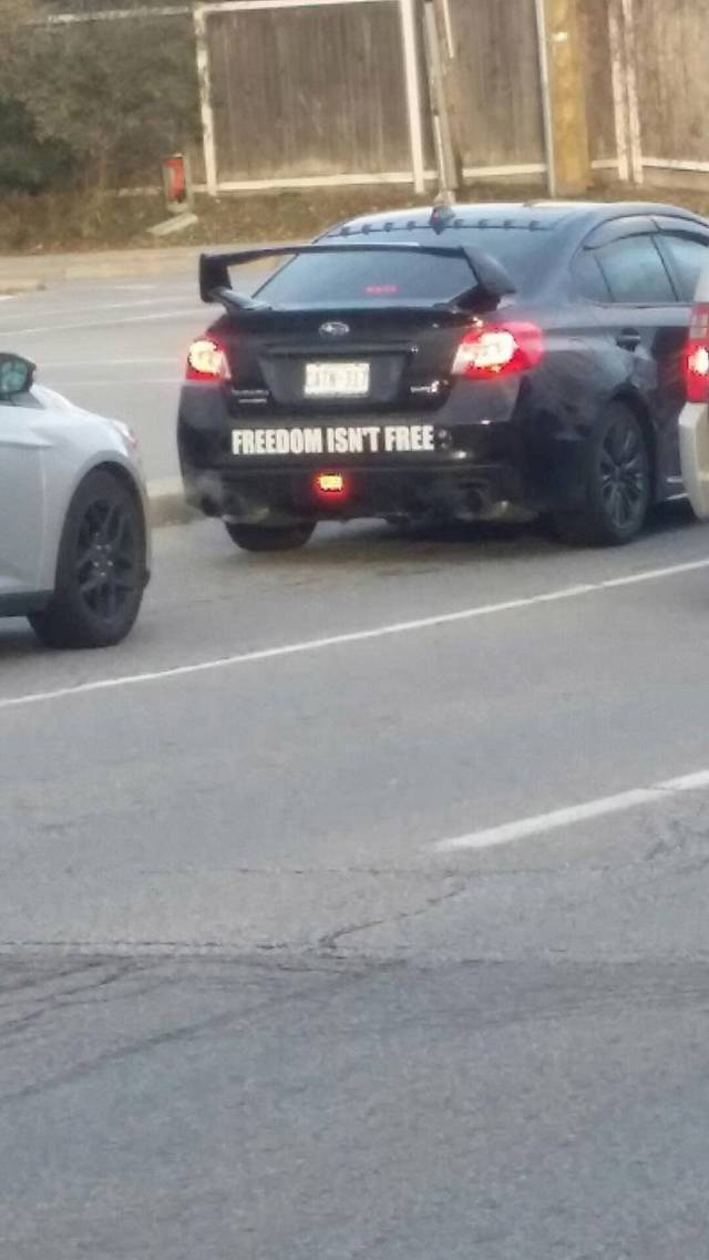 daily picdump 83 pics 3.html - 83 HD Photos | Premium Gallery 2017