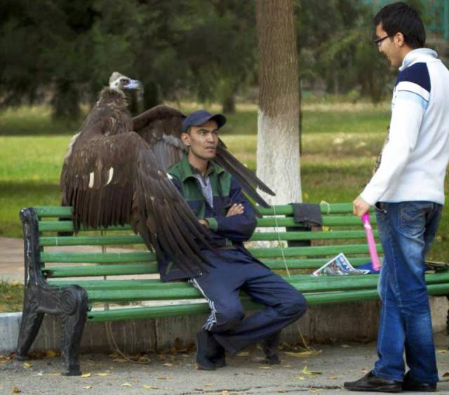 morning picdump 51 pics 9.html - 51 HD Photos | Premium Gallery 2017