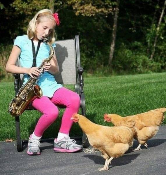 morning picdump 51 pics 9.html - 51 HD Photos | Premium Gallery 2017