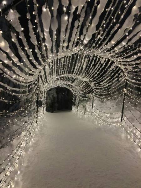 Daily Picdump [WEEKEND EDITION]