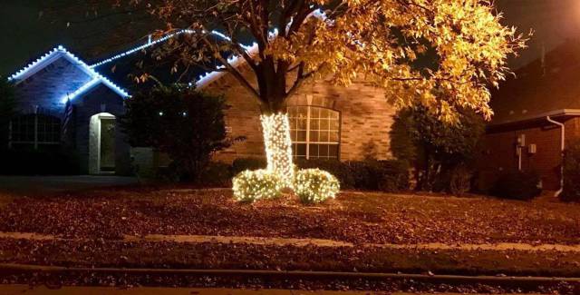 Daily Picdump [WEEKEND EDITION]