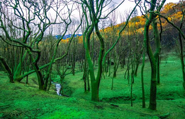 daily picdump weekend edition 50 pics 7.html - 50 HD Photos | Premium Gallery 2017