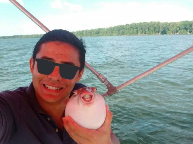 daily picdump weekend edition 50 pics 7.html - 50 HD Photos | Premium Gallery 2017