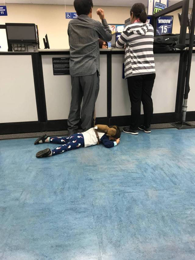 daily picdump weekend edition 50 pics 7.html - 50 HD Photos | Premium Gallery 2017