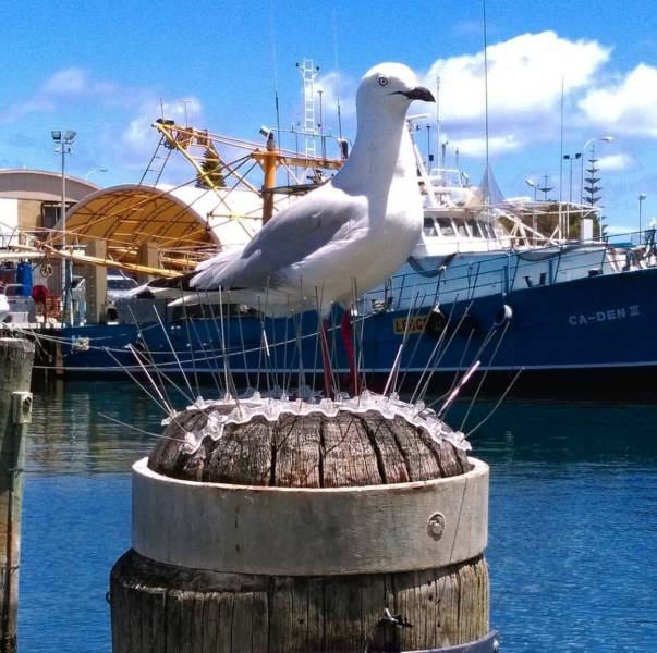 daily picdump 104 pics 9.html - 104 HD Photos | Premium Gallery 2017