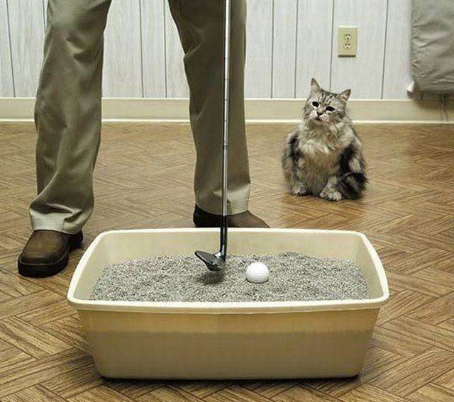 daily picdump 104 pics 9.html - 104 HD Photos | Premium Gallery 2017